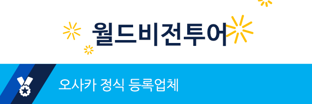 월드비전투어